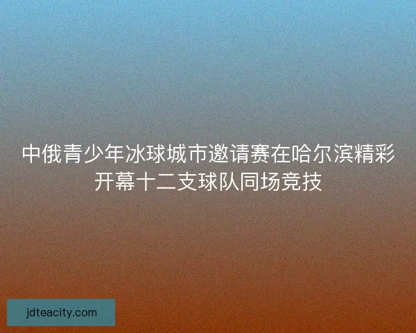 中俄青少年冰球城市邀请赛在哈尔滨精彩开幕十二支球队同场竞技