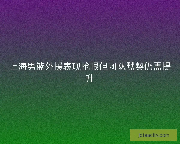 上海男篮外援表现抢眼但团队默契仍需提升