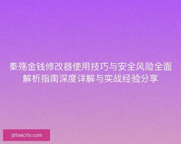 秦殇金钱修改器使用技巧与安全风险全面解析指南深度详解与实战经验分享