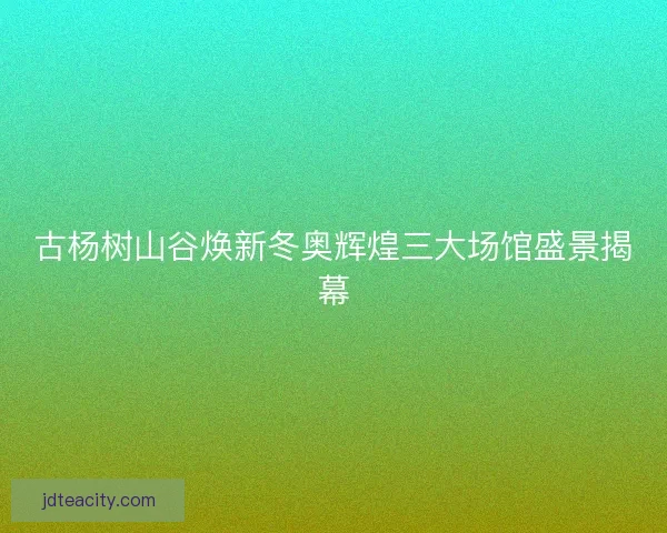 古杨树山谷焕新冬奥辉煌三大场馆盛景揭幕
