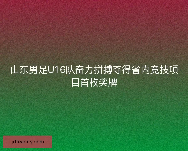 山东男足U16队奋力拼搏夺得省内竞技项目首枚奖牌