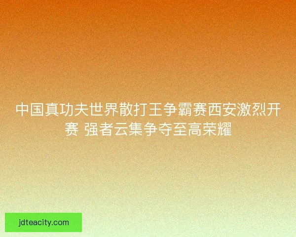 中国真功夫世界散打王争霸赛西安激烈开赛 强者云集争夺至高荣耀