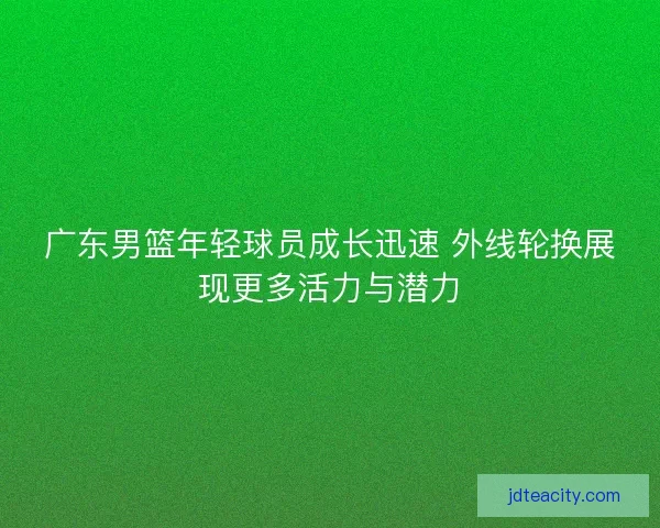 广东男篮年轻球员成长迅速 外线轮换展现更多活力与潜力
